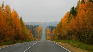 Север. Клип на песню Елены Ваенги