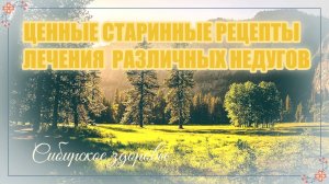 ЦЕННЫЕ СТАРИННЫЕ РЕЦЕПТЫ ЛЕЧЕНИЯ  РАЗЛИЧНЫХ НЕДУГОВ ЗОЖ