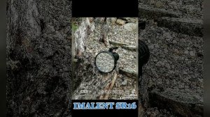 IMALENT SR16 (55K LUMENS)