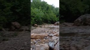 Эксперименты японских ученых с водой