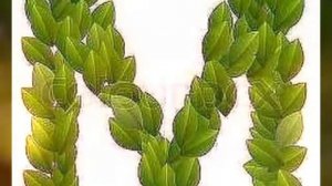 ОХАНГИ ДИЛИ ЗОРИ МАН ДВОИНИКИ ФАРАМХМАД КАРИМОВ