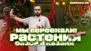 Обзор. Комнатные растения и букеты в Казани. Выпуск 26.