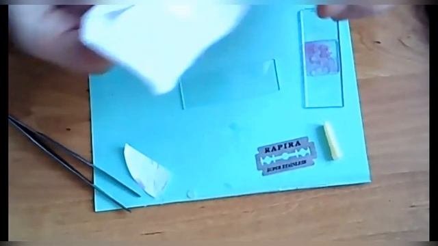 Приготовление срезов растения