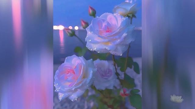 5 встреча: "Философия жизни здесь и сейчас. Техники-тишина ума". 3часть смотреть онлайн