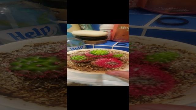 20241116_125232.mp4