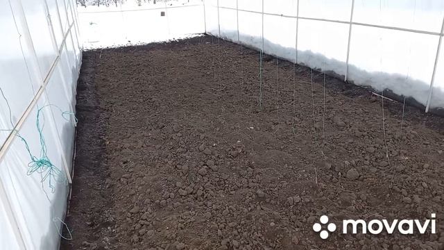 УХОД ЗА ТЕПЛИЦЕЙ ЗИМОЙ. ВНЕСЕНИЕ СНЕГА В ТЕПЛИЦУ. ОГОРОД НА КУБАНИ