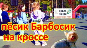 пёсик Барбосик и обыкновенный кросс