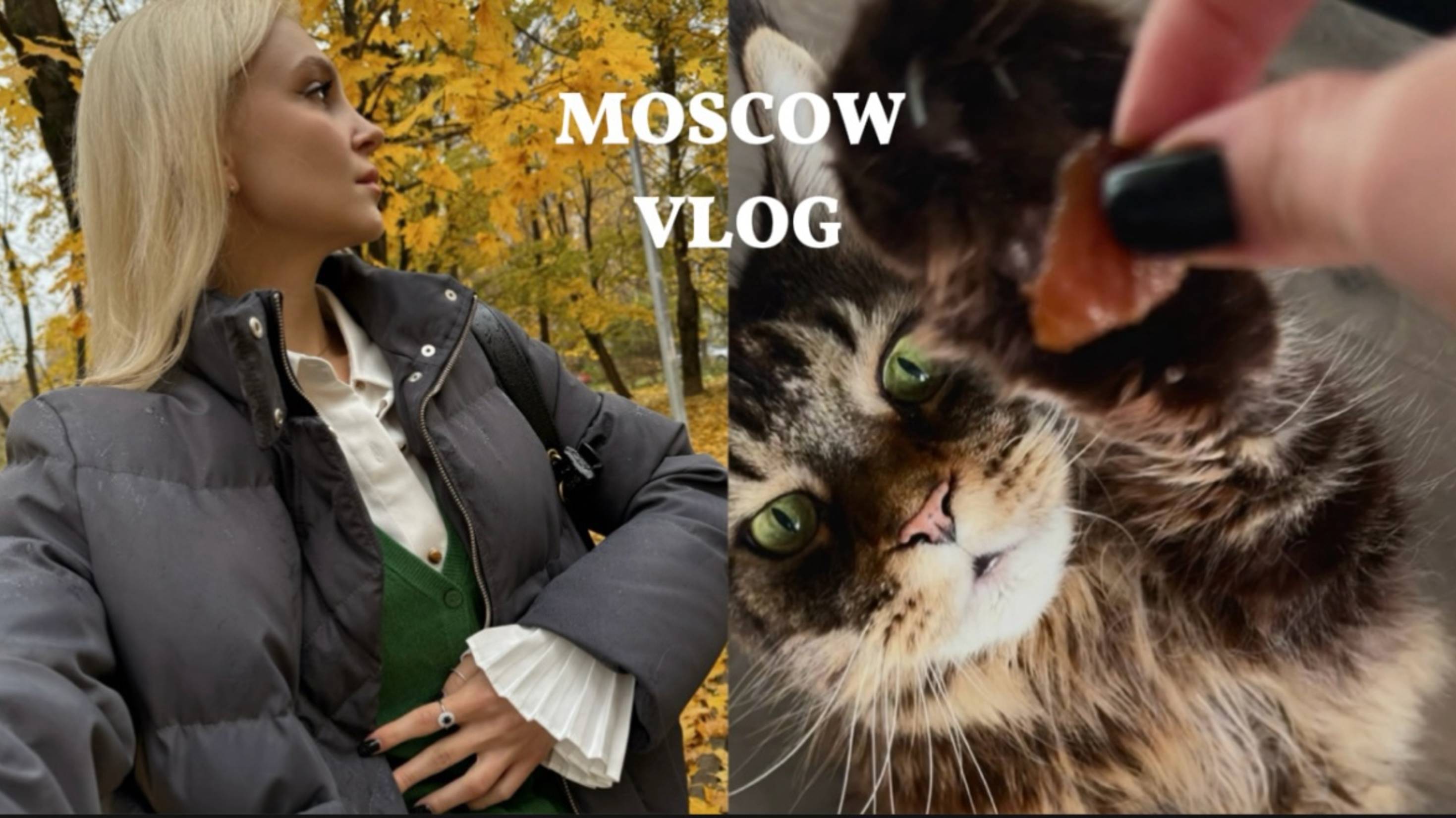 MOSCOW VLOG | ЧТО В МОЕЙ ПРОДУКТОВОЙ КОРЗИНЕ | МОИ КУЛИНАРНЫЕ ШЕДЕВРЫ