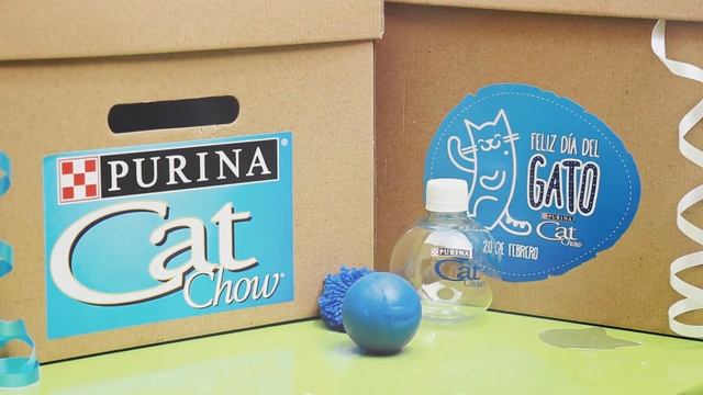 CAT-jita de PURINA® CAT CHOW® - TUTORIAL #3 смотреть онлайн