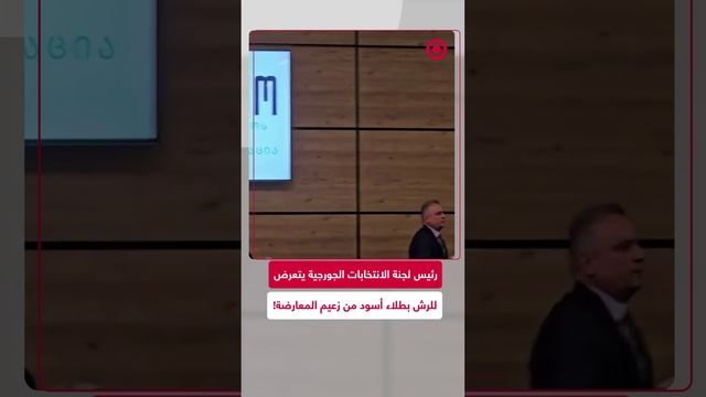 رئيس الانتخابات الجورجية يتعرض للرش بطلاء أسود داخل مبنى لجنة الانتخابات المركزية