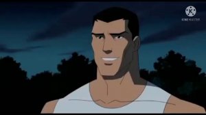 Young justice - Safe and sound