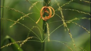 Свекровь издевалась над женой, а муж молчал, но расплата не заставила себя ждать