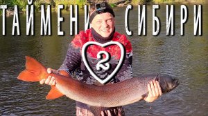 Таймени Сибири 2