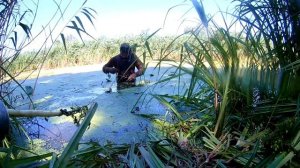 окуневое место подводная охота на реке северский донец