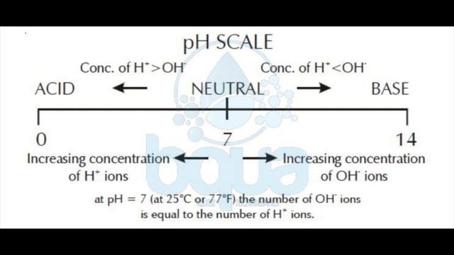 [pH]What is pH? pH of different substances | AP Biology
