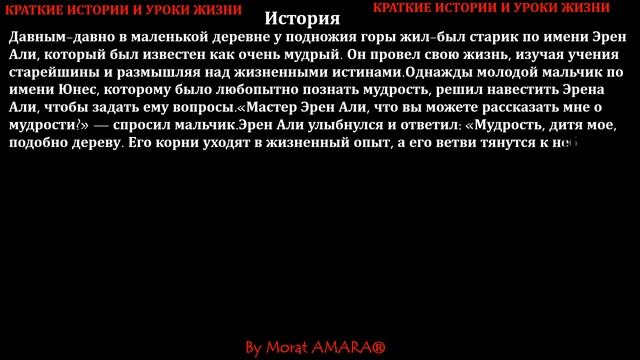 Ежедневное вдохновение: рассказы и уроки жизни: 3 Мудрость
