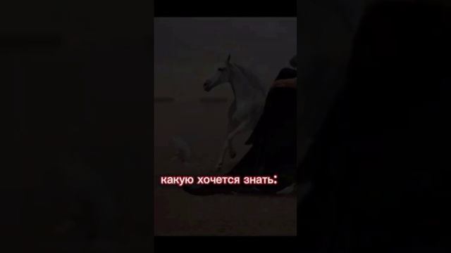 всем ассаляму алейкум ва рахматуллахи ва баракатух братья и сестра🤍 смотреть онлайн