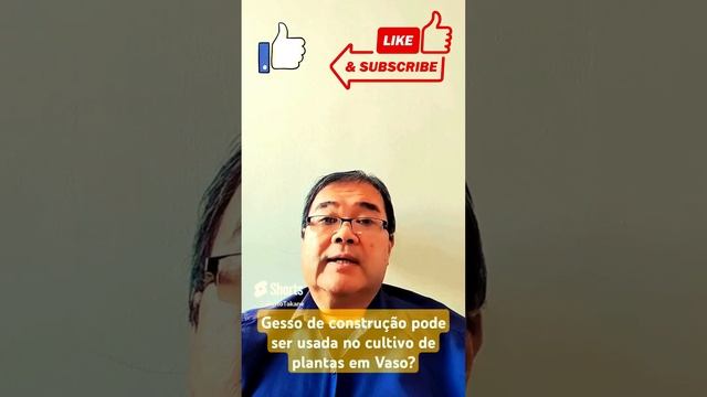 GESSO de construção pode ser utilizada no cultivo de Plantas em Vaso? #robertotakane смотреть онлайн
