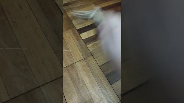 Нож бабочка из фанеры Standoff 2 смотреть онлайн