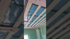 сплин поёт про девочку из самого синего льда