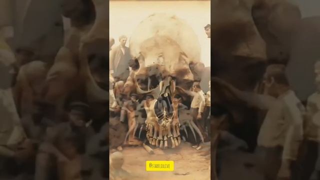 драконы, великаны и другие существа, которые населяли нашу игру #романсон #матрица #осознание