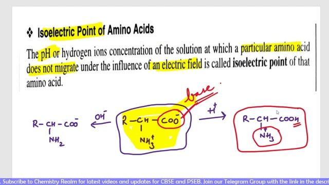 BIOMOLECULES | Class 12| PSEB | CBSE | With Notes
