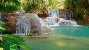 12430307_3840_2160_25fps