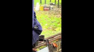 Катание на паровозе