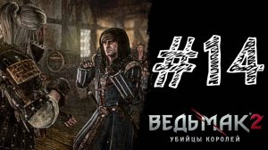 ПРОТИВ СИНИХ ПОЛОСОК! Прохождение #14 - The Witcher 2: Assassins of Kings.