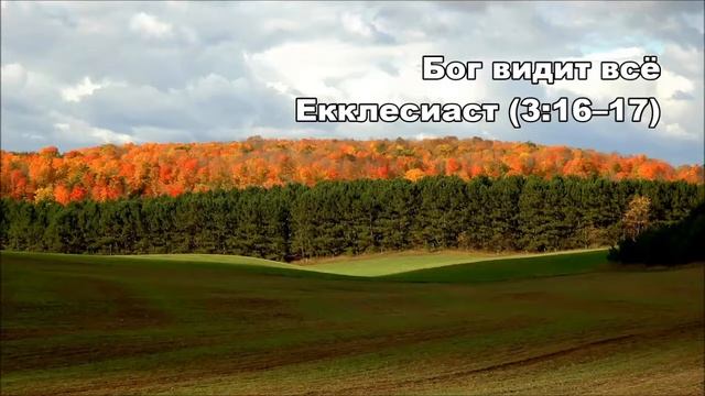 06.10.2014 Праведный царь (Екклесиаст 3:16-22) смотреть онлайн