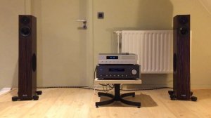 Audio Physic Tempo 6  - Saint-Saëns.