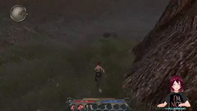 Прохождение divinity 2 developers cut. Прохождение divinity 2 developers cut