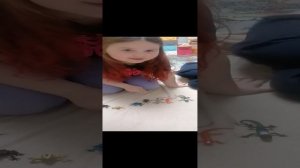 Распаковка насекомых и животных