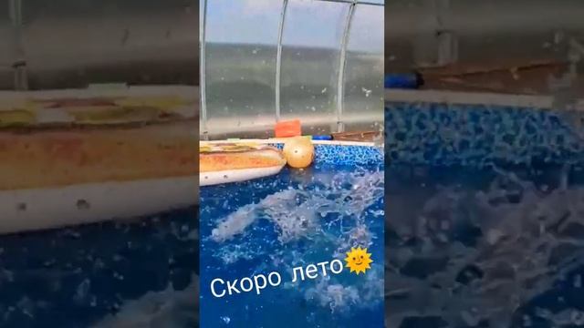 бассейн дача смотреть онлайн