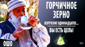 11. "Вы есть цель!" ОШО. ГОРЧИЧНОЕ ЗЕРНО