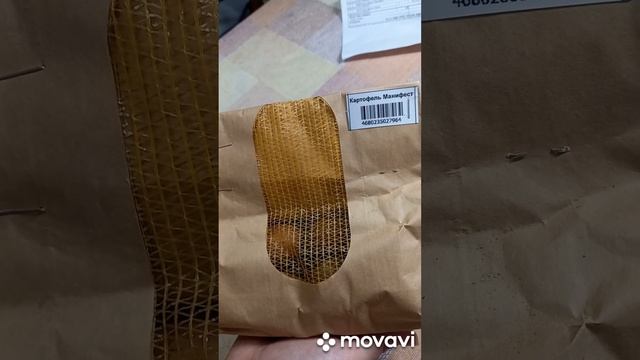 КАРТОФЕЛЬ МАНИФЕСТ ОТ САДОВ РОССИИ. ОГОРОД НА КУБАНИ. shorts# смотреть онлайн