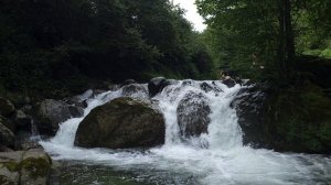 12280854_3840_2160_60fps