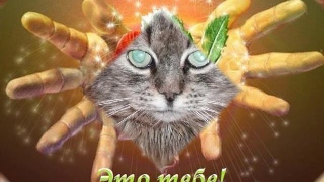 ЗЕБРА