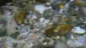 Ключ, бьющий из-под земли