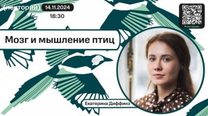 Екатерина Диффинэ. Мозг и мышление птиц.