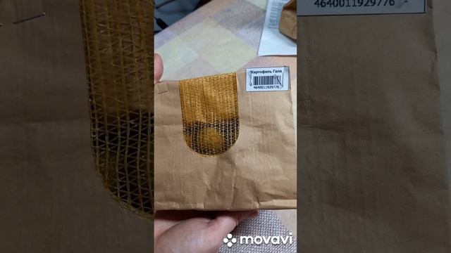 КАРТОФЕЛЬ ГАЛА ОТ САДОВ РОССИИ. ОГОРОД НА КУБАНИ. shorts# смотреть онлайн