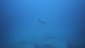 Эту музыку можно слушать ВЕЧНО! Скажи ЖИЗНИ ДА!