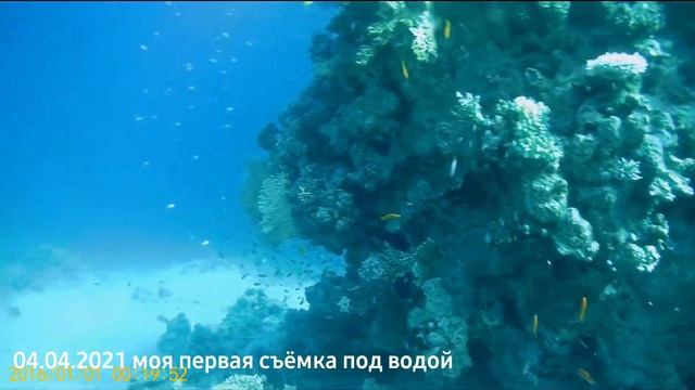 Первая съёмка под водой