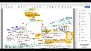 Задержка полового развития