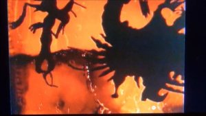 Дуэт черного кота и пирата.