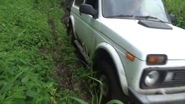 Слабоумие и отвага. смотреть онлайн