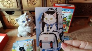 РАСПАКОВКА И ОБЗОР ТАРО "КОТИКИ ТАРОГРАДА"