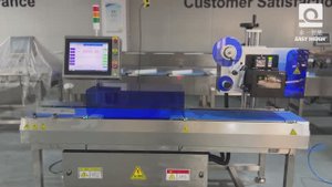 Чеквейер и система Print & Apply