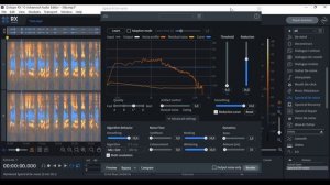 Work Izotope RX 10 Spectral De Noise