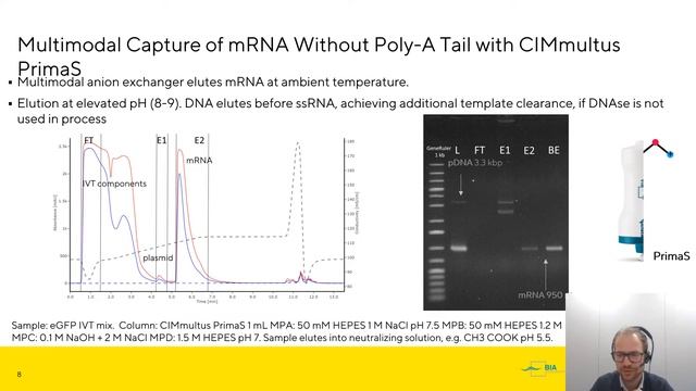 mRNA manufacturing platform using CIMmultus® and CIMac® technology with rapid HPLC analytics смотреть онлайн